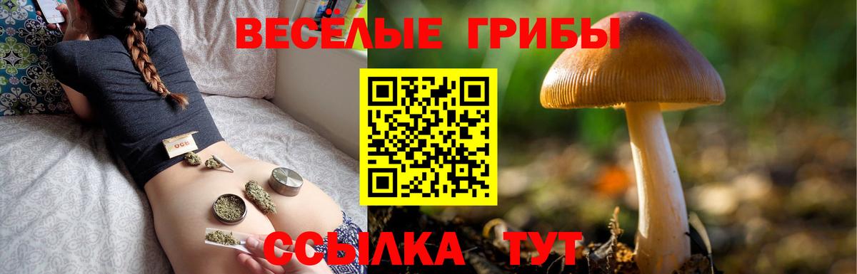 Псилоцибиновые грибы Magic Shrooms  Вход с VPN  Семилуки  Псилоцибиновые грибы Psilocybe 